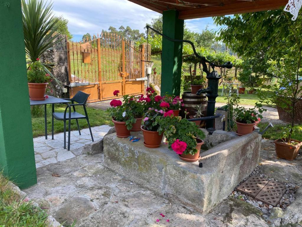 Casa Da Rapadoira Guest House Laxoso de Abaixo Eksteriør bilde