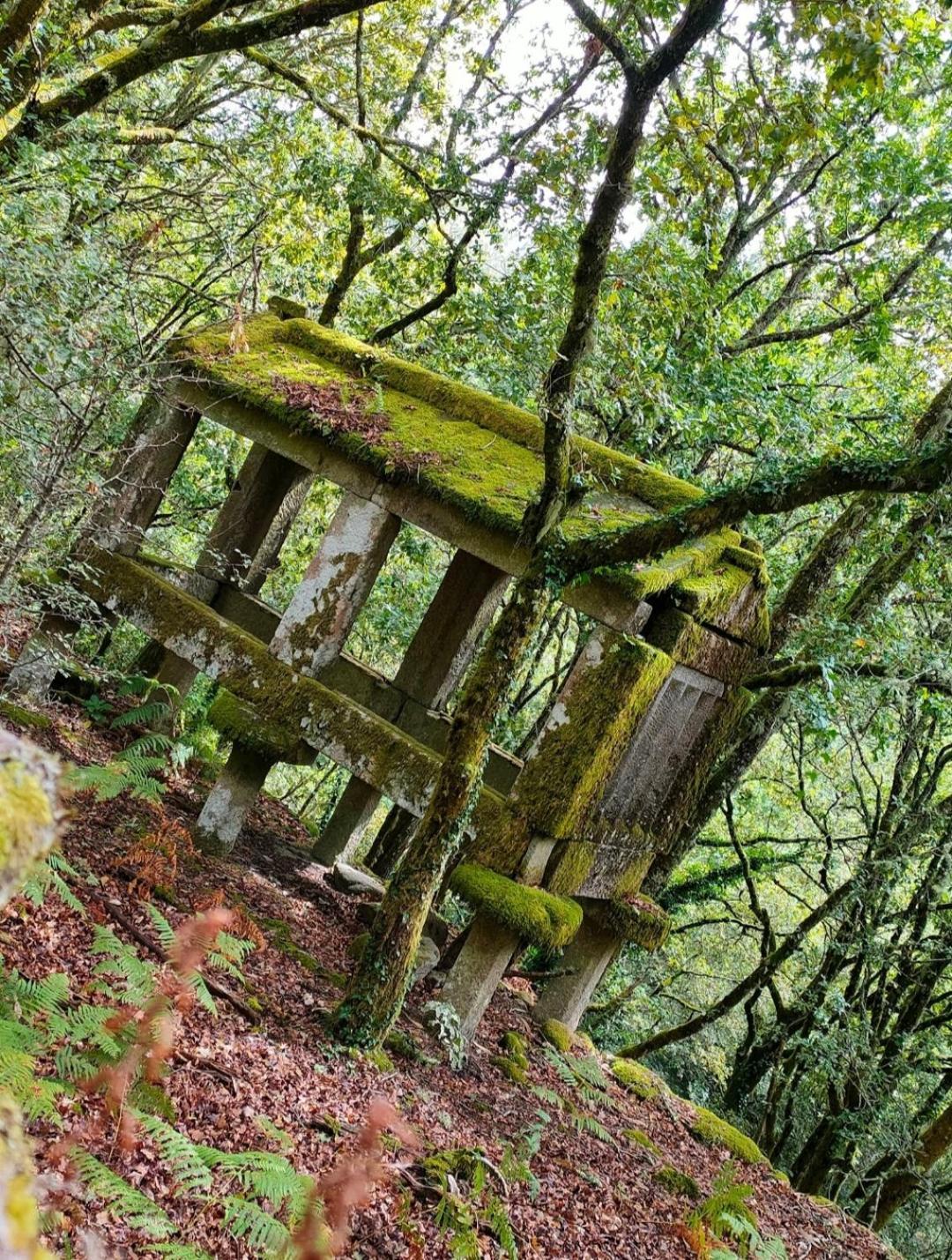Casa Da Rapadoira Guest House Laxoso de Abaixo Eksteriør bilde